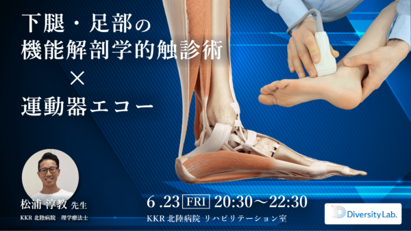 下腿・足部の機能解剖学的触診術✖️運動器エコー